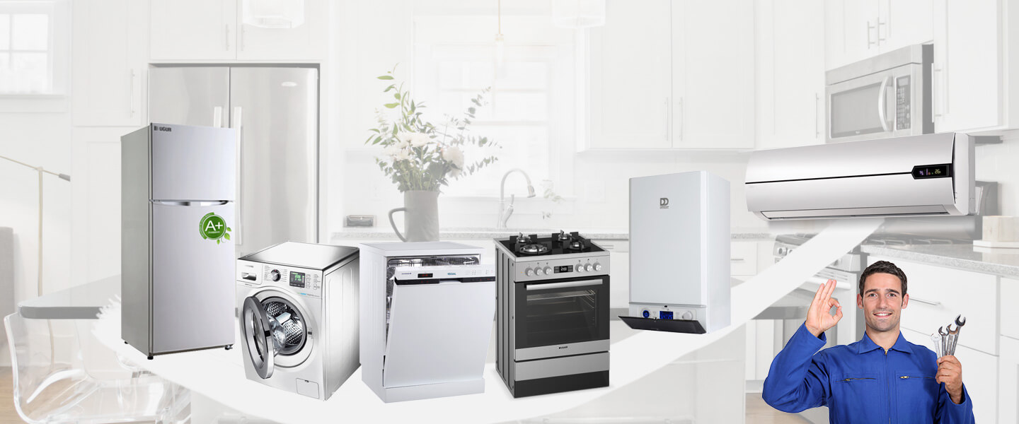 Lice Grundig Servisi